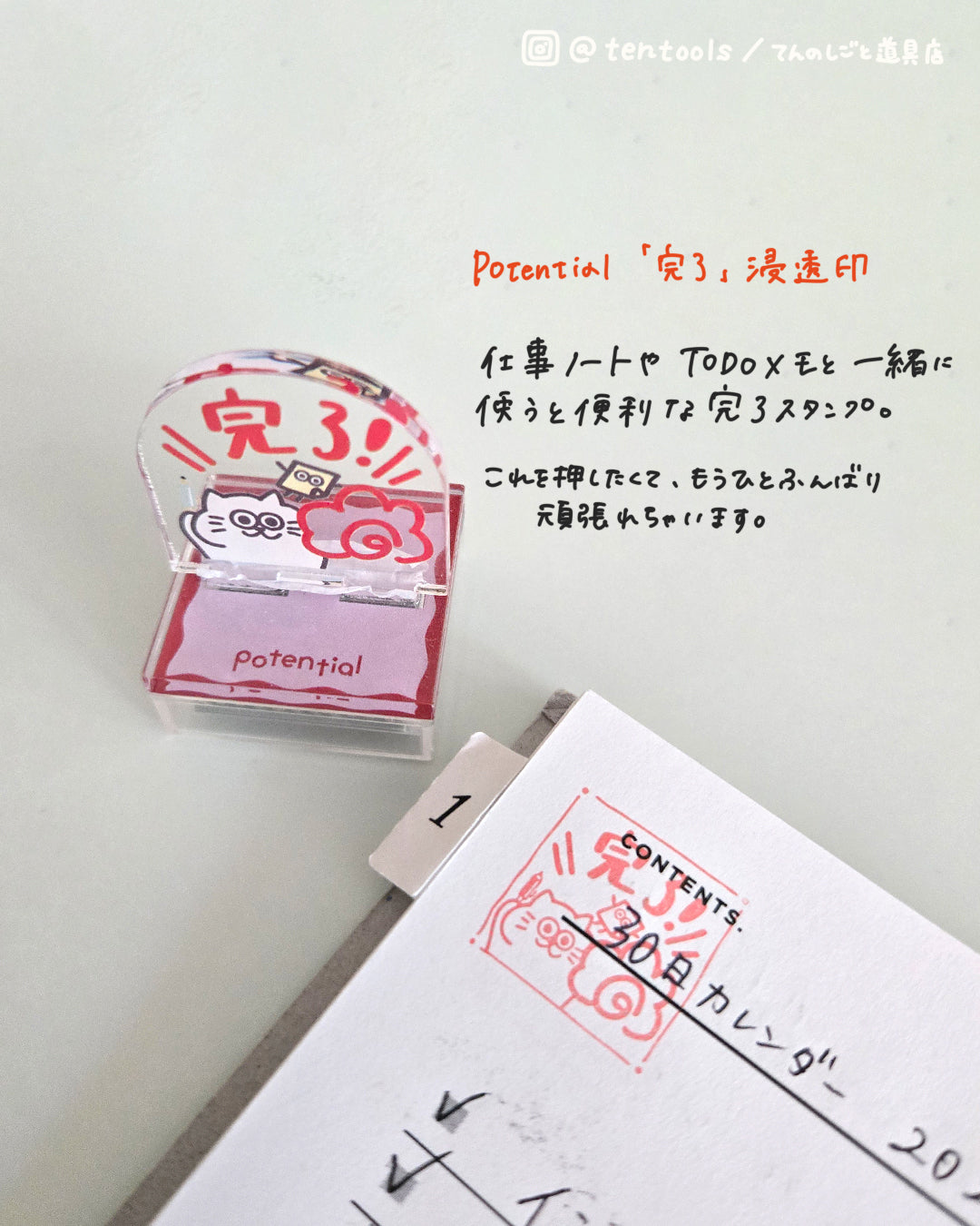 【8月限定セット】Potentialスタートセット