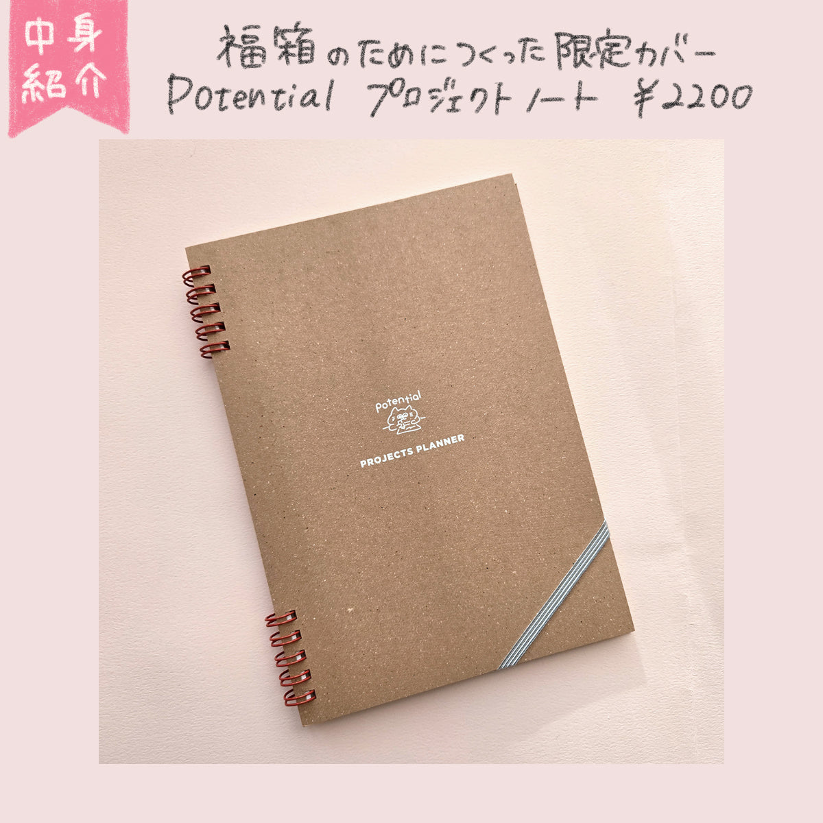 【限定700箱】2026年福箱(他商品の同時購入不可・クーポン利用不可)