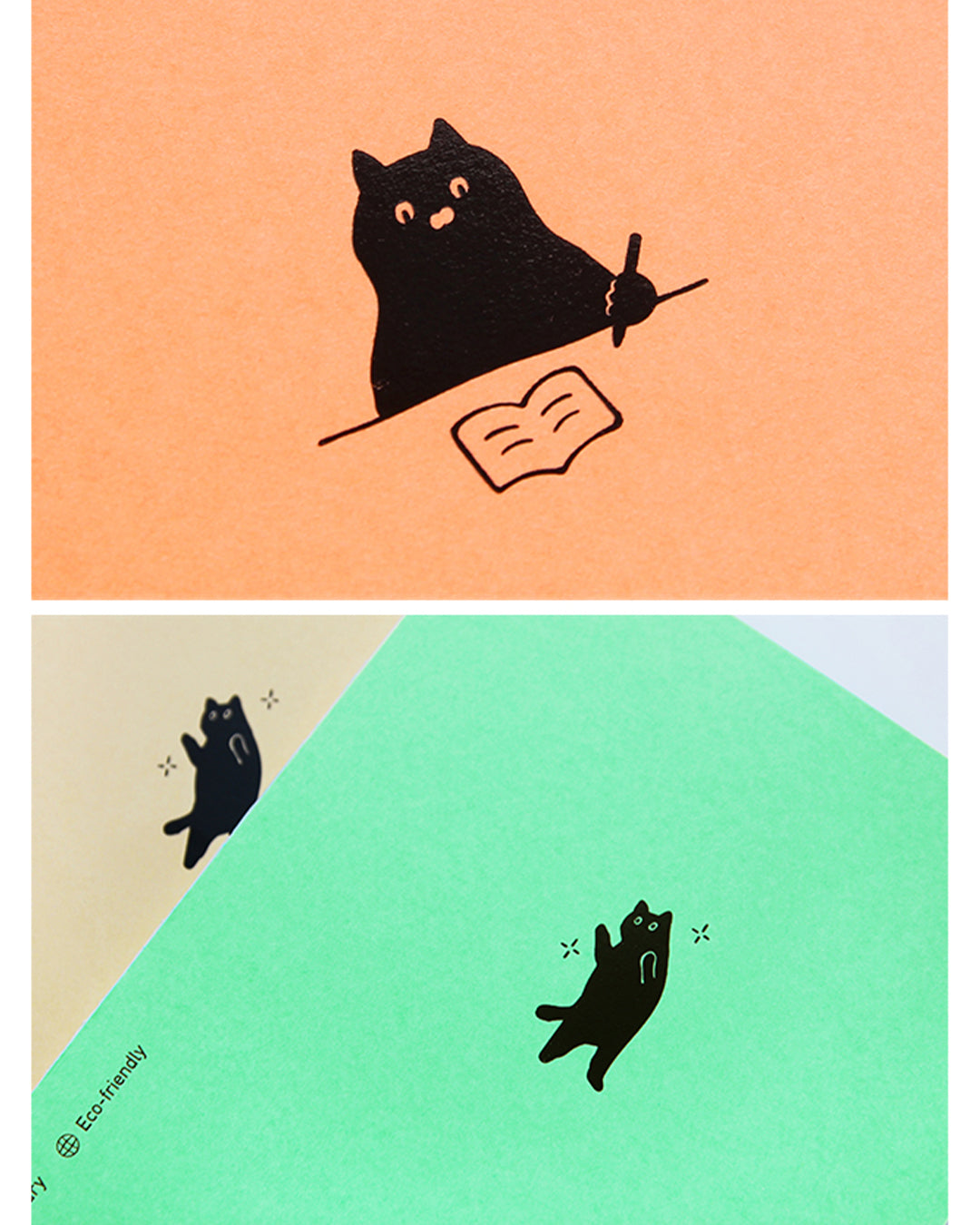 6ヶ月ダイアリー (One third cat Half Diary)