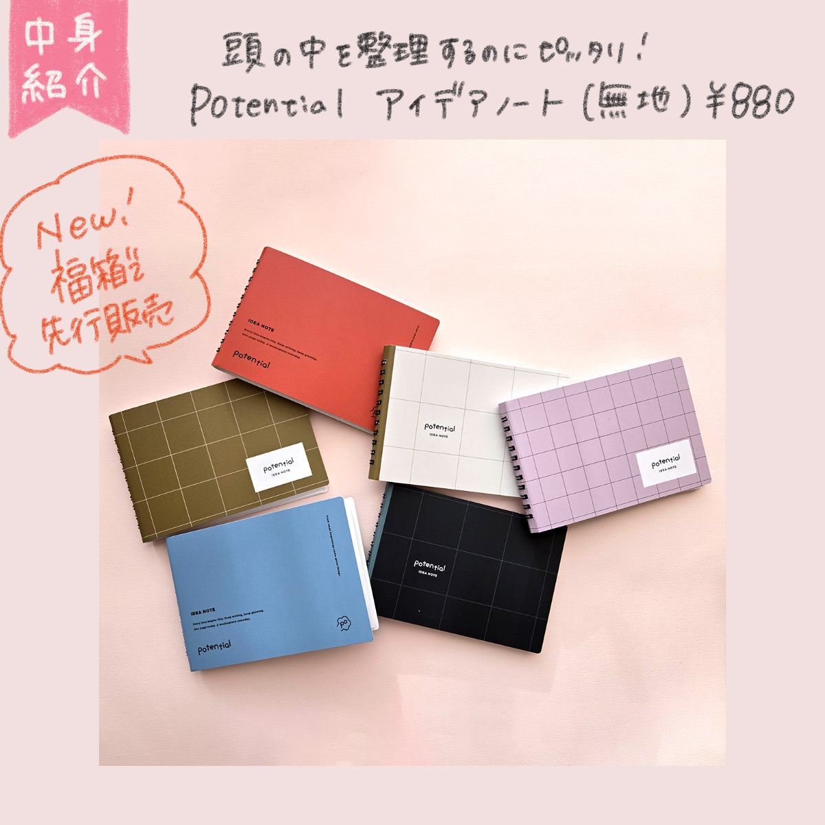 【限定700箱】2026年福箱(他商品の同時購入不可・クーポン利用不可)