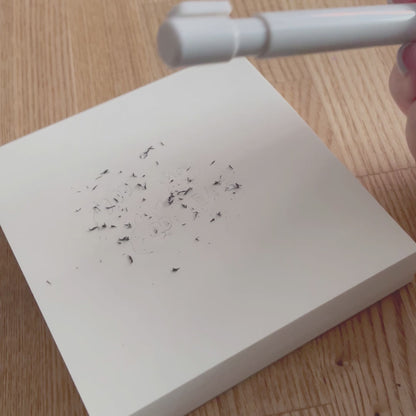 Knock type eraser pen magnetic poppy 